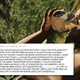 Image for article titled Kotaku Timeline: Grand Theft Auto V